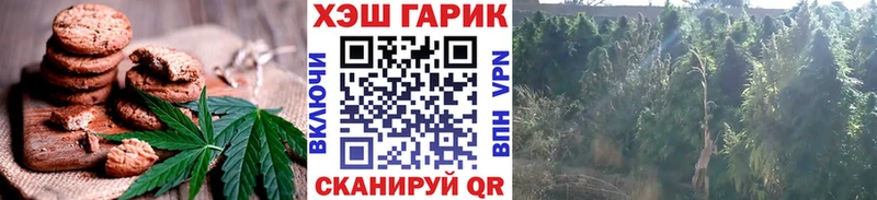Cannafood конопля  Тверь 