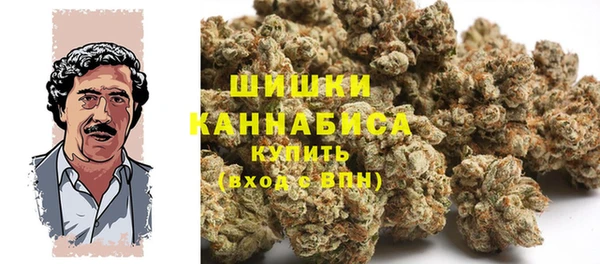 PSILOCYBIN Медвежьегорск