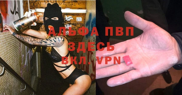 PSILOCYBIN Медвежьегорск