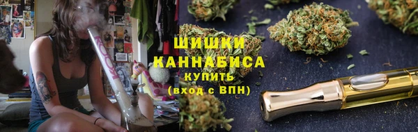 PSILOCYBIN Медвежьегорск