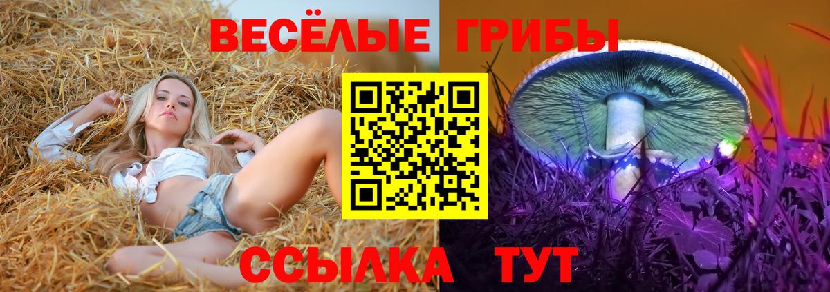 Псилоцибиновые грибы мицелий Тверь